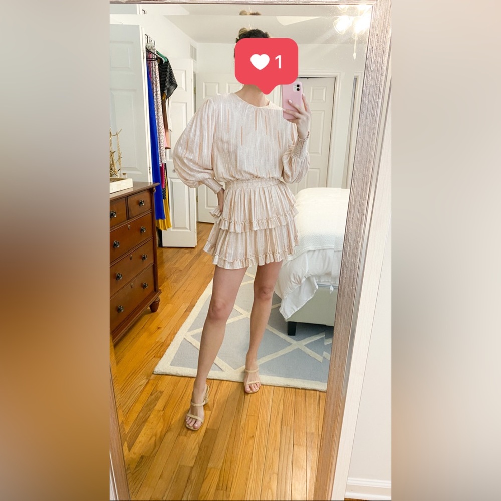 Misa Revolve Katia Dress in Blush Stripe - Picture 4 of 12